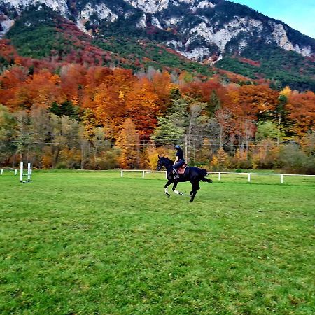 Apartamento Muehle In Der Pferdewelt Reichenau Exterior foto