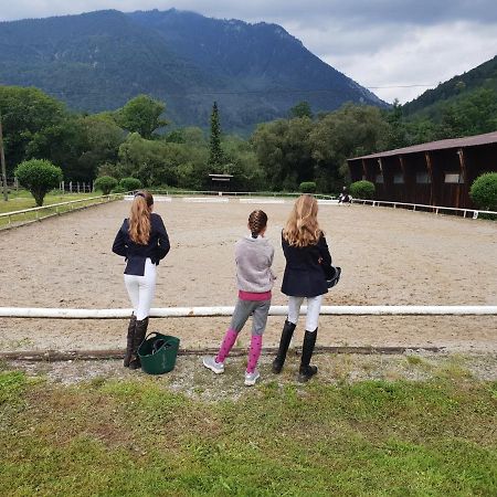 Apartamento Muehle In Der Pferdewelt Reichenau Exterior foto