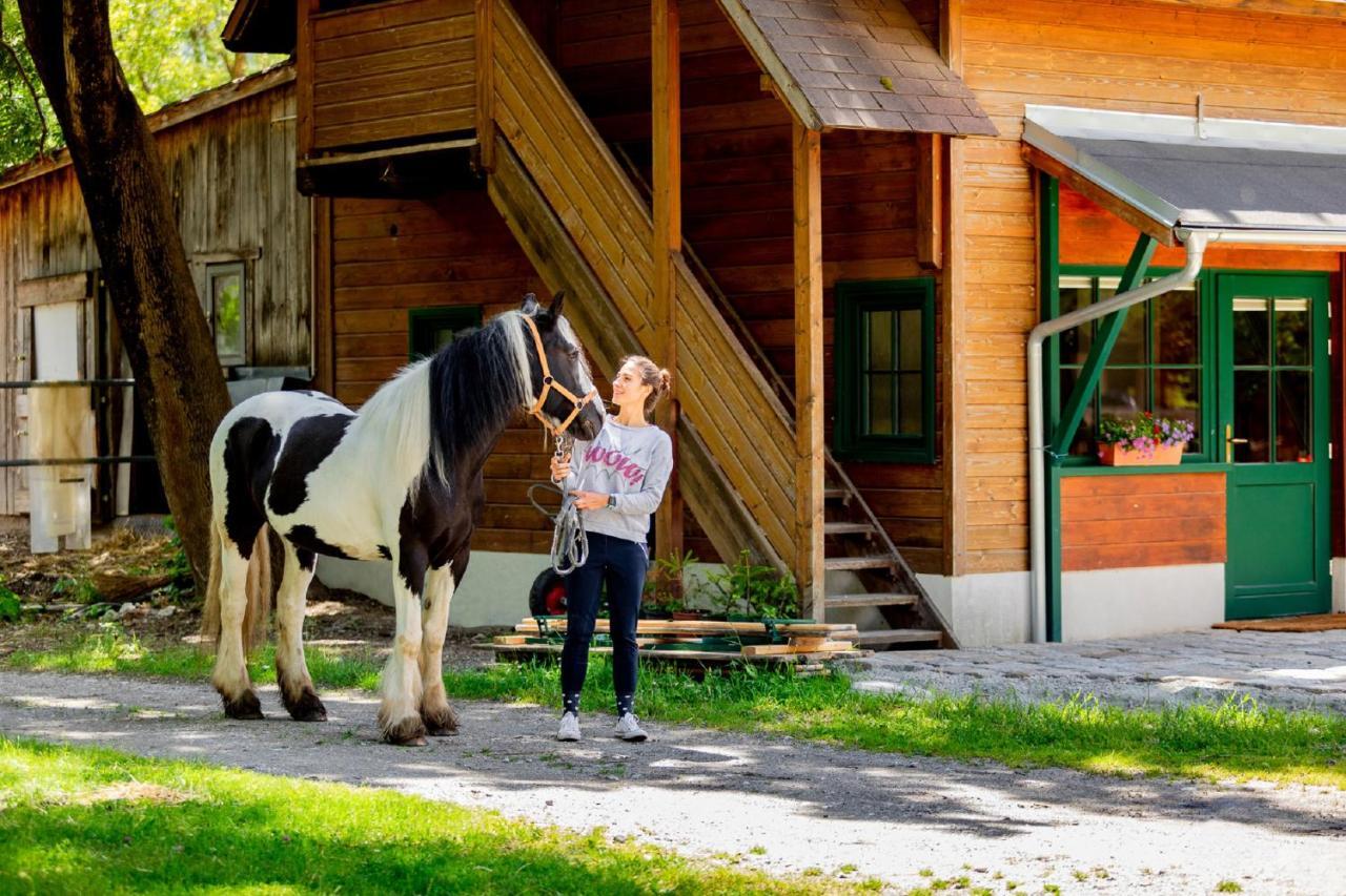 Apartamento Muehle In Der Pferdewelt Reichenau Exterior foto