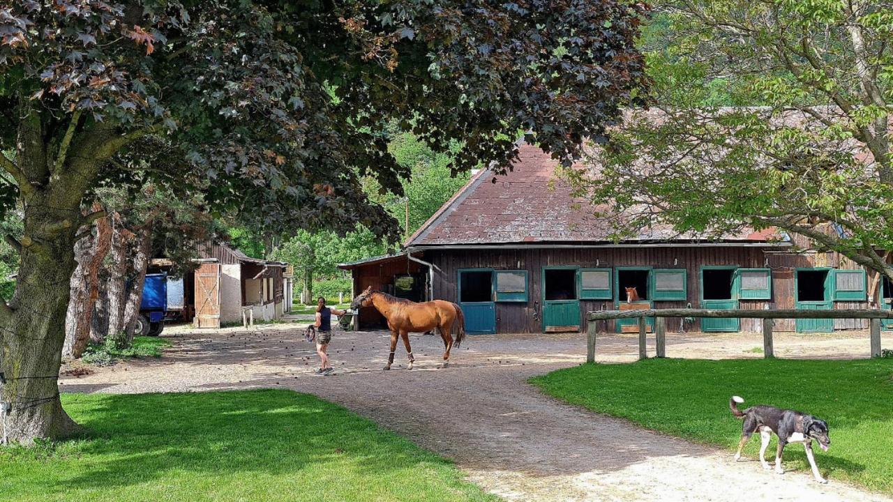Apartamento Muehle In Der Pferdewelt Reichenau Exterior foto