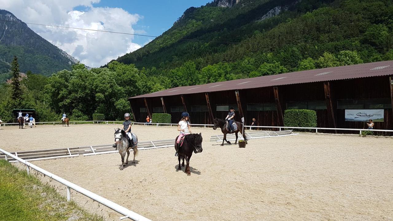 Apartamento Muehle In Der Pferdewelt Reichenau Exterior foto